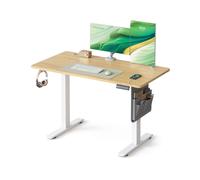 Electric Standing Desk, Height Adjustable Desk, Golden Oak / 60D x 120W x (72-120)H cm