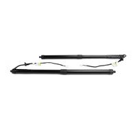 Electric Tailgate Boot Gas Struts For Lexus For RX350 RX450h 2016 2017 2018 2019 Electric Tailgate Lift Support Gas Struts 68910-48071 68920-48031 68910-48070(Onecolor)