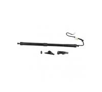 Electric Tailgate Lift Support Strut High Strength Rear Hatch Lift Struts Support Shock for Highlander 2014-2019 Right OE: 68910 09120