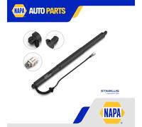 Electric Tailgate Strut 176200 Stabilus Spring Lift 8Y4827851E 8Y4827851F New