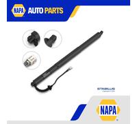 Electric Tailgate Strut 207509 Stabilus Spring Lift 81770J5100 81780J5100 New