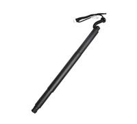 Electric Tailgate Strut 51247434043 51247434044 Electronic Trunk Lifting Struts For BMW X6 F16 F86 2014-2019 Power Tailgate Liftgate Lift Support 2 Plug Car Rear Boot Gas(Left)