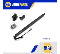 Electric Tailgate Strut Right 277772 Stabilus Spring Lift 164801600B 600661000C