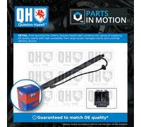 Electric Tailgate Strut Right QTS728026 Quinton Hazell Spring Lift 31386706 New