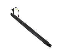 Electric Tailgate Support For Hyundai For Santa Fe 2019 2020 Electric Tailgate Strut 81831S1100 81841S1100 81831-S1100 81841-S1100(1pcs RH)