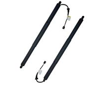 Electric Tailgate Support Rod Tailgate Hydraulic Strut 4m 8827851 D For Q8 2019-2020 Tailgate Power Lift Support(2pieces)