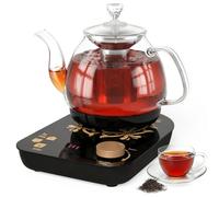 Electric Tea Kettle, Adjustable Power Fast Boil Stainless Steel Kettle with Temperature Control & Filter for Kitchen, Office & Travel Essentials