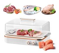 Electric Thawing Machine 5L Fresh Meat Defrost Box with 360° Hot Air Circulation, Adjustable Timer & Temperature, Fast Defrost for Meat, Poultry & Seafood