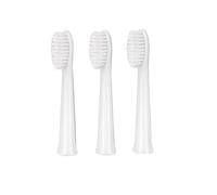 Electric Toothbrush Head - Compatible with Panasonic WEW0972/EW-DM71/711/712/61/PDM7B(3 Large Heads)