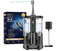 Electric Toothbrush with Water Flosser Combo, 3-in-1 Sonic Flossing Toothbrush and Dental Water Flosser for Teeth Cleaning, Gum Care, Braces, Bridges, Adults, 5 Brush Modes, 500ML, Black