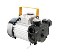 Electric Transfer Pump Automotive fuel pump assembly | Oil Self Priming Fuel Diesel 60L/Min 550W With Filter Mobile Gas Station