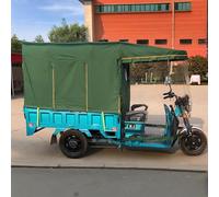 Electric Tricycle Canopy Waterproof Tricycle Canopy for Adults Easy Entry and Exit Cover for Fit All 3-Wheel Bike Easy to Install Adult Tricycle Cover(Green 100 * 75cm/39 * 30")