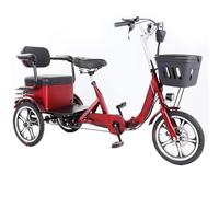 Electric Tricycle for Adults 48V15AH Battery 60KM Range 3 Riding Modes Puncture-Proof Tires 200KG Load Capacity