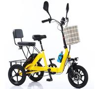 Electric Trike for Adults, 48V 10.4Ah Battery, 40 km Range, Foldable Tricycle, 14 Inch Cargo, 160 Disc Brake, LCD Display for Commute, Travel and Shopping