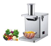 Electric Vegetable Dicer, Commercial 250W Vegetable Chopper Dicer Shredder Automatic Onion Potato Cutter Food Processor Fruit Cutting Machine with Dicing Knife nets and Slicing Blade Blades