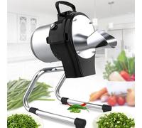 Electric Vegetable Slicer Shredder, 304 Stainless Steel Blade, Adjustable Thickness 1-5mm for Cutting Scallion, Chili, Ginger, Potato and More