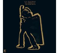 Electric Warrior