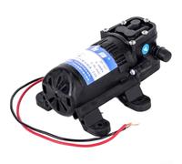 Electric Water Pump with 12V 110V 220V Input for High Pressure 0.48MPa Output and 3.5L Min Flow Rate for Farm and Vehicle Use (12V)
