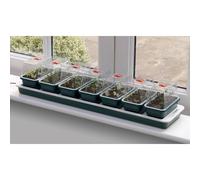 Super 7 Electricwindowsill Propagator