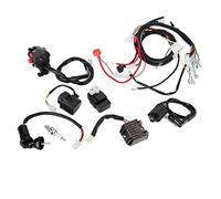 Electric Wiring Harness CDI Assembly for ATV Quad Bike 200-300cc, Complete Motorcycle Electrical Kit with Coil Switch Solenoid Plug for 4 - Stroke Buggy