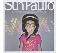 Electric Wisdom Sound System