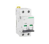 Electrical iC65 Miniature Circuit Breaker IC65H 2P D4A | A9F29204