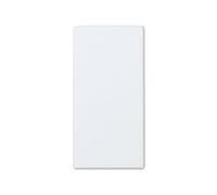 Electrical Mechanisms - Series 27-27800-34 - Blank Plate Snow BL.