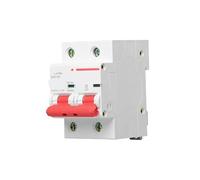 Electrical Miniature Circuit Breaker DZ47-125 2P li 80A | DZ471252D80