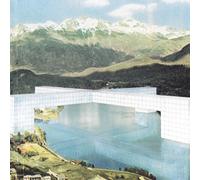 Electricity In Our Homes - Dear Shareholder [VINYL]