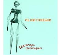 Electrique Plummagram by Poi Dog Pondering (1996-05-21)
