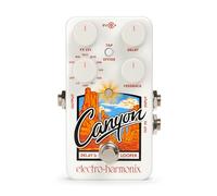 Electro Harmonix Canyon Delay & Looper