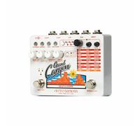 Electro Harmonix Grand Canyon Delay & Looper