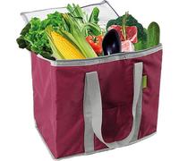 Electro Vision St Helens Home And Garden Cooler Bag