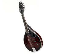 Electroacoustic 8 String Solid Wood Mandolin Instrument With Carrying Case Strings And Picks Mandolin for Student