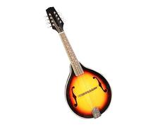 Electroacoustic 8 String Solid Wood Mandolin Instrument With Carrying Case Strings And Picks Mandolin for Student
