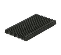 Electrolux Genuine Carbon Filter - Dst2420478063