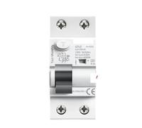 Electromagnetic Residual Current Circuit Breaker AC 2 Pole 40A 63A 30mA 100mA 300mA