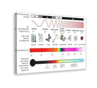Electromagnetic Spectrum Canvas Art Poster And Wall Art Picture Print Modern Family Bedroom Decor 20x30inch(50x75cm)