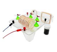 Electromagnetism Current Magnetic Field Demonstrator, Physics Experiment Equipment, Educational Science Teaching Instrument For Classroom Laboratory Learning