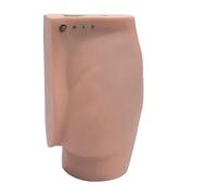 Electronic Buttocks Injection Training Model, Anatomy Study Tools with Realistic Human Body Simulation & LED Alarm, Figure Model for Anatomy and Physiology Education