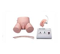 Electronic Catheterization And Enema Teaching Model, Male And Female Nursing Models/For Nurse Student Studying Exercise Teaching
