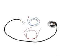 Electronic Ignition System DS2-2 Replacement for Kawasaki KZ550 KZ650 KZ750 1977-1983 Motorcycle Four Cylinder Ignition Control Unit ABS Metal Gray Black