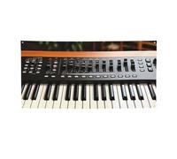 Electronic Keyboard Banner Party Decor Backdrop Banner Birthday Party Photography Background Decorations Indoor Outdoor Wall Decor Banner Party Supplies Favors 47 x 24 Inch