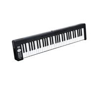 Electronic Piano 61 Keys Professional Piano Folding Rechargeable Music Keyboard Beginner Practicing(Black)