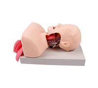 Electronic Silicone Airway Management Trainer, Advanced Human Endotracheal Intubation Head Model for Medical Training and Education
