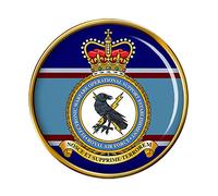 Electronic Warfare Operational Support Establishment, RAF Pin Badge