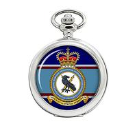 Electronic Warfare Operational Support Establishment, RAF Pocket Watch
