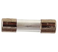Electrovision 1.5 A Slow Blow 20 Mm Glass Fuse (10)