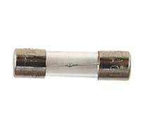 Electrovision 100 Ma Slow Blow 20 Mm Glass Fuse (10)