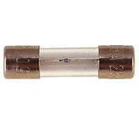 Electrovision 800 Ma Slow Blow 32 Mm Glass Fuse (10)